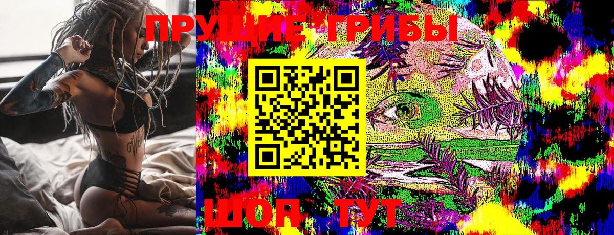 Псилоцибиновые грибы Cubensis Тайшет