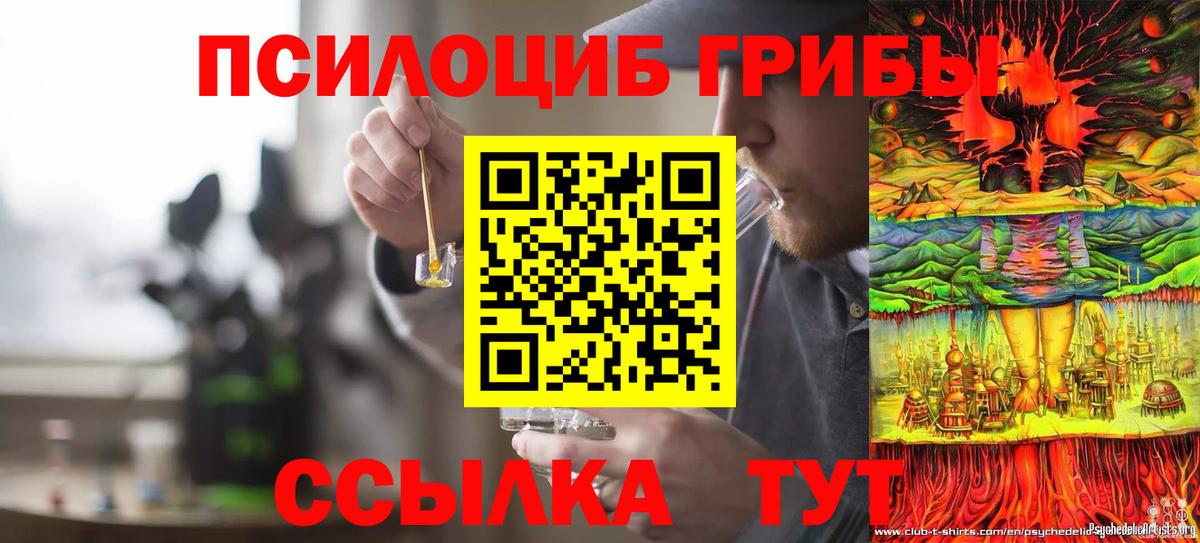 Галлюциногенные грибы Magic Shrooms  Вход с VPN  Тайшет 